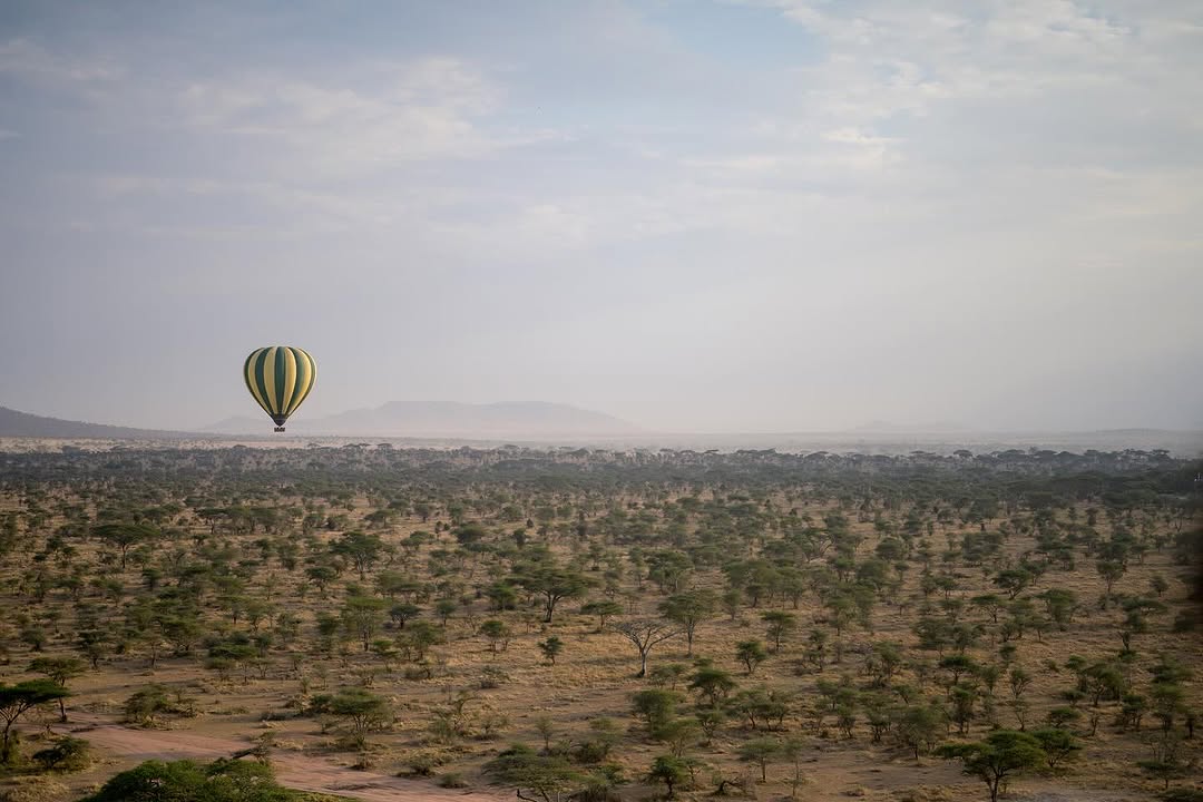 Hot Air Balloon 4